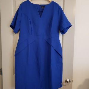 Eloquii NWT Size 14 Blue Dress